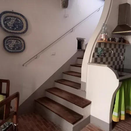 Mamatroco Velva